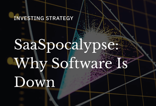 Why the Long Game is Intact for Software